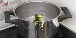 Frogs Continue to Ignore Rising Temperatures